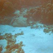  Lighthouse Reef, Belize